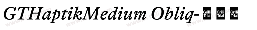 GTHaptikMedium Obliq字体转换